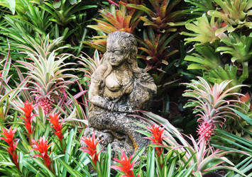 Similar image 1451100