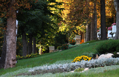 Similar image 1451102