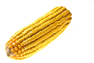 Similar image 1451226