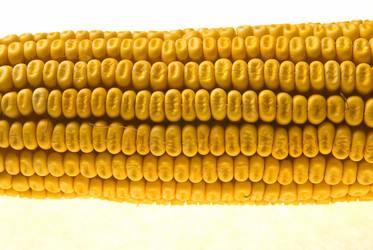 Similar image 1451227