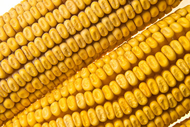 Similar image 1451231