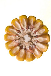 Similar image 1451242