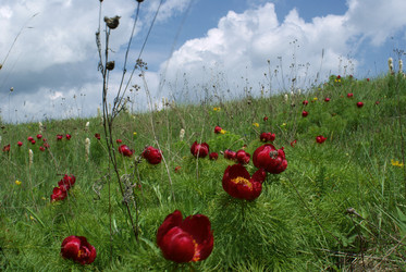 Similar image 1451263