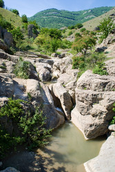 Similar image 1451264