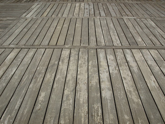 Similar image 1451275