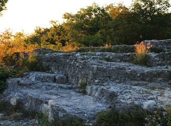 Similar image 1451282