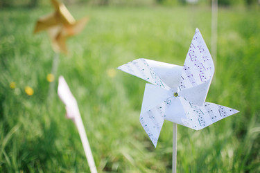 Similar image 1451285