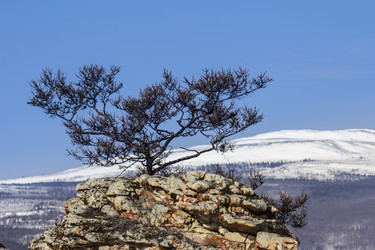 Similar image 1451304