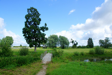 Similar image 1451319