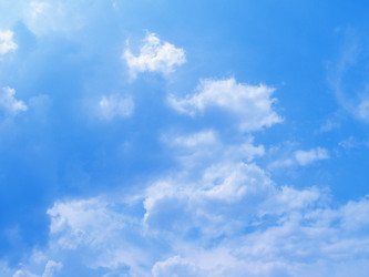 Similar image 1451393