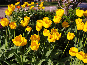 Similar image 1451397