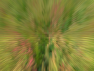 Similar image 1451403