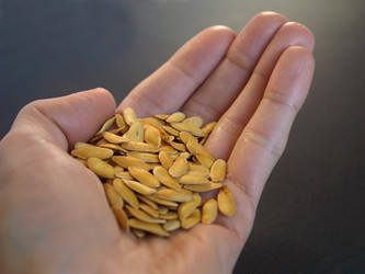 Similar image 1451417