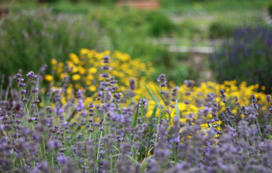 Similar image 1451423