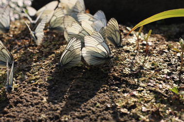 Similar image 1451424