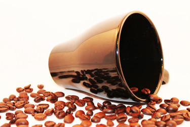 Similar image 1451439