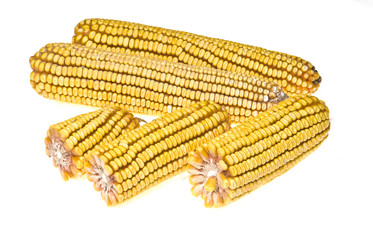 Similar image 1451452