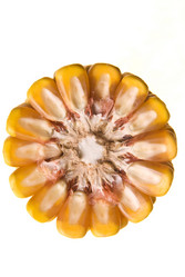 Similar image 1451460