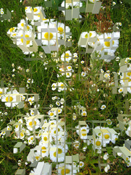 Similar image 1451523