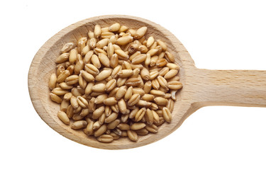 Similar image 1451533