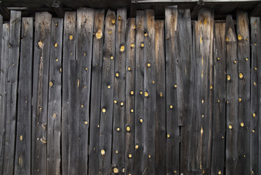 Similar image 1451544