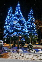 Similar image 1451546