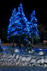 Similar image 1451548