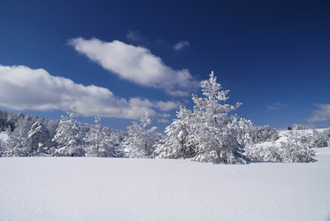 Similar image 1451551