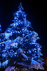 Similar image 1451553