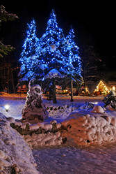 Similar image 1451557