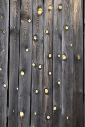 Similar image 1451584