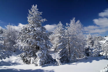 Similar image 1451713