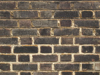 Similar image 1451742