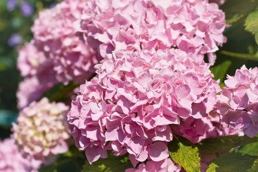 Similar image 1451768