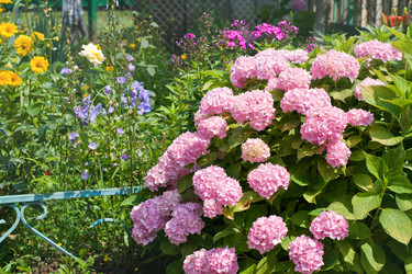 Similar image 1451769