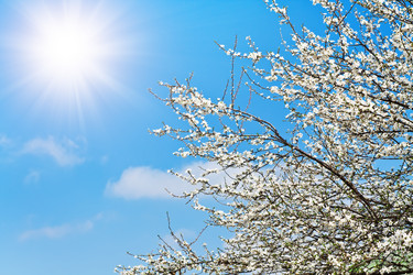 Similar image 1451771