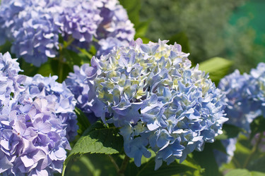 Similar image 1451772