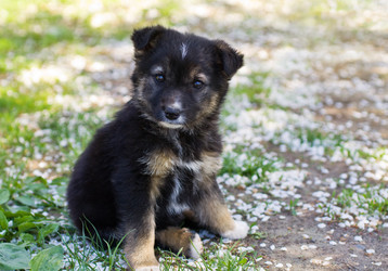 Similar image 1451790