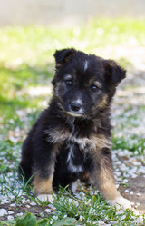 Similar image 1451791