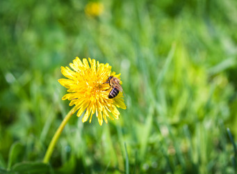 Similar image 1451793