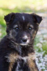 Similar image 1451802