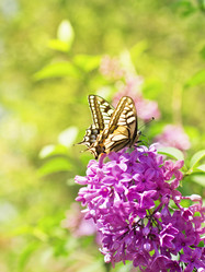 Similar image 1451803