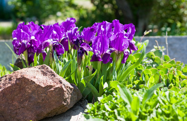 Similar image 1451807