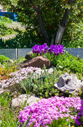 Similar image 1451808