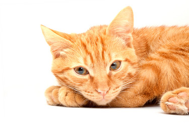 Similar image 1451814