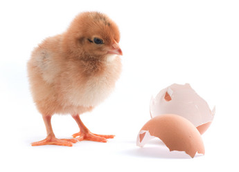 Similar image 1451817