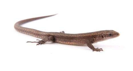 Similar image 1451823