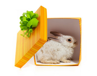 Similar image 1451834