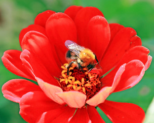 Similar image 1451944