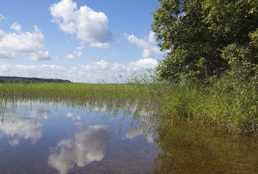 Similar image 1451951